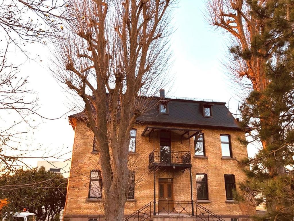 Domaine Sequoia Daire Stutzheim Dış mekan fotoğraf